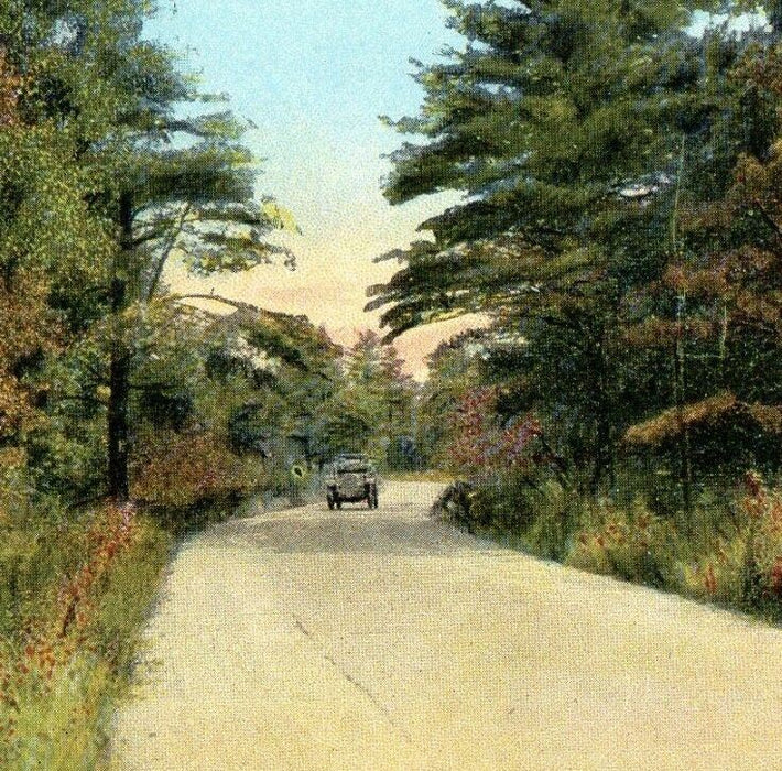 c1910 Scene Near Pine Bush Roadway Car New York NY Unposted Antique Postcard