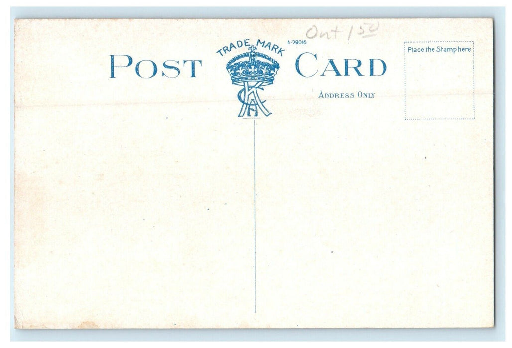 c1910 Aerial View Of Entrance To Lakeside Park Geneva New York NY Postcard