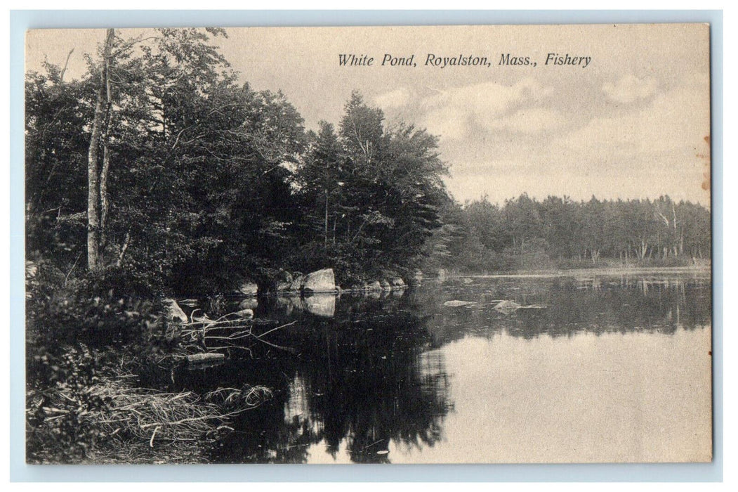c1910 Fishery, White Pond Royalston Massachusetts MA Unposted Antique Postcard