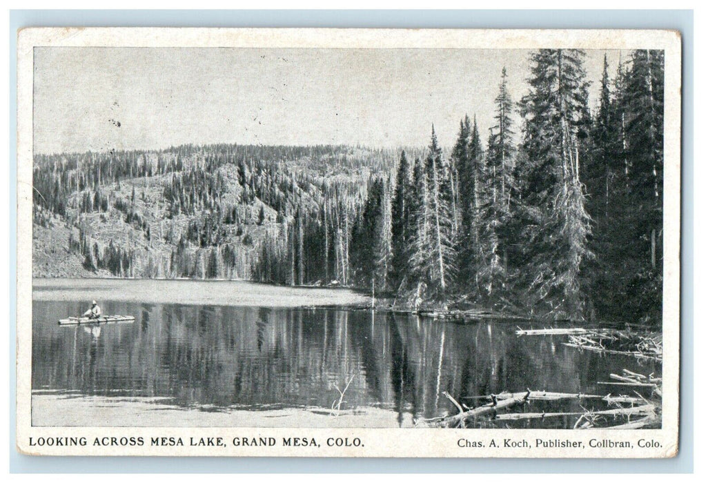 c1910's Looking Across Mesa Lake Boat Grand Mesa Colorado CO Antique Postcard