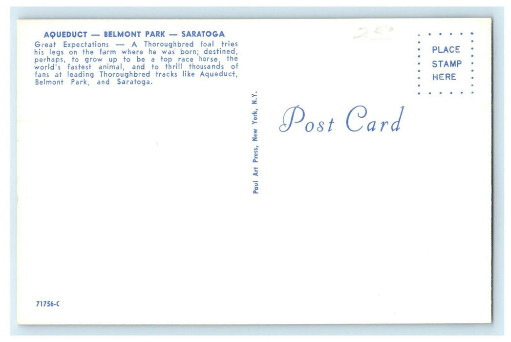 c1930's Aqueduct Belmont Park NYRA Horse Saratoga Springs New York NY Postcard
