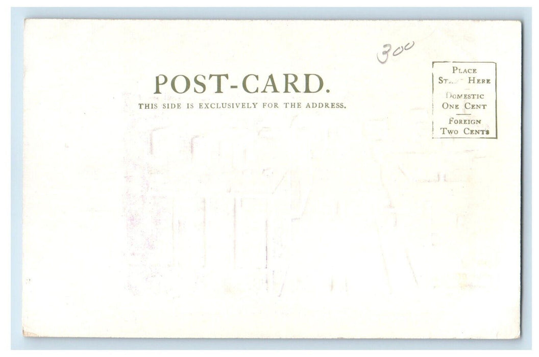 Seventeenth Street And Business Section Denver Colorado CO Embossed Postcard