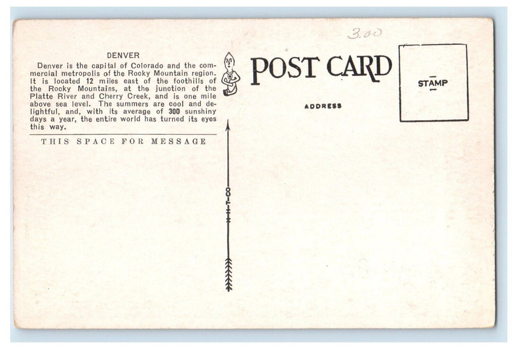 Bird's Eye View Of Denver From State Capitol Building Colorado CO Postcard