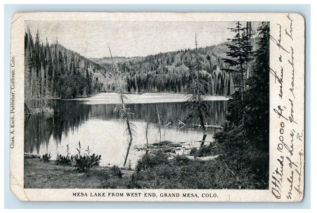 c1910's Mesa Lake From West End Grand Mesa Colorado CO Posted Antique Postcard