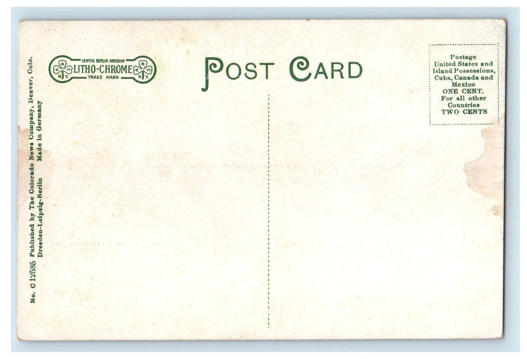 c1910's Eagle River Canon CO, On The D. & R. G. R. R. Railroad Train Postcard