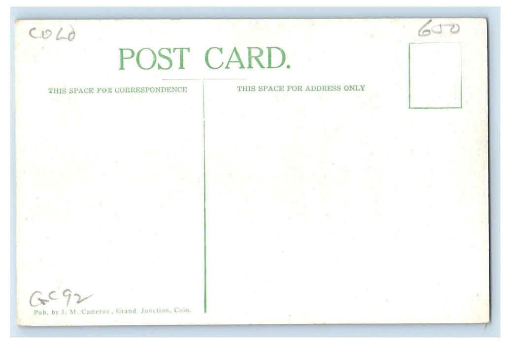Feeding Stock At Sugar Plant Cows Farm Grand Junction Colorado CO Postcard