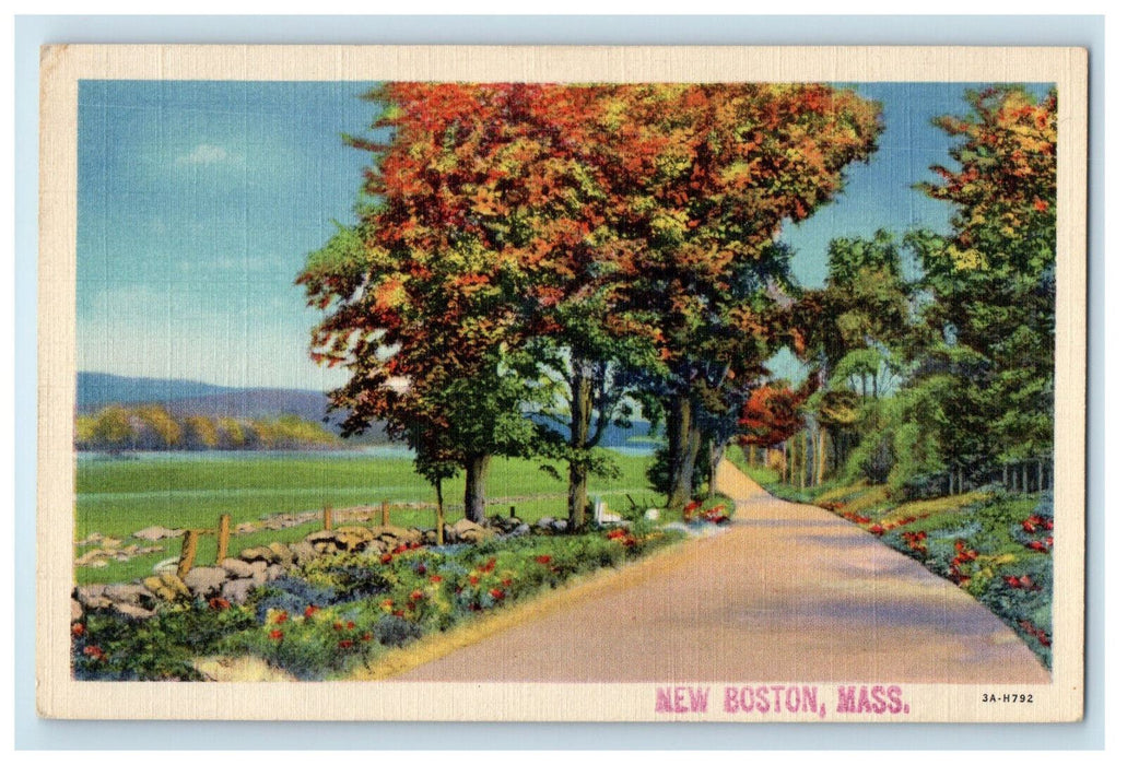 c1930s Scene of Road Grasses and Trees, New Boston Massachusetts MA Postcard