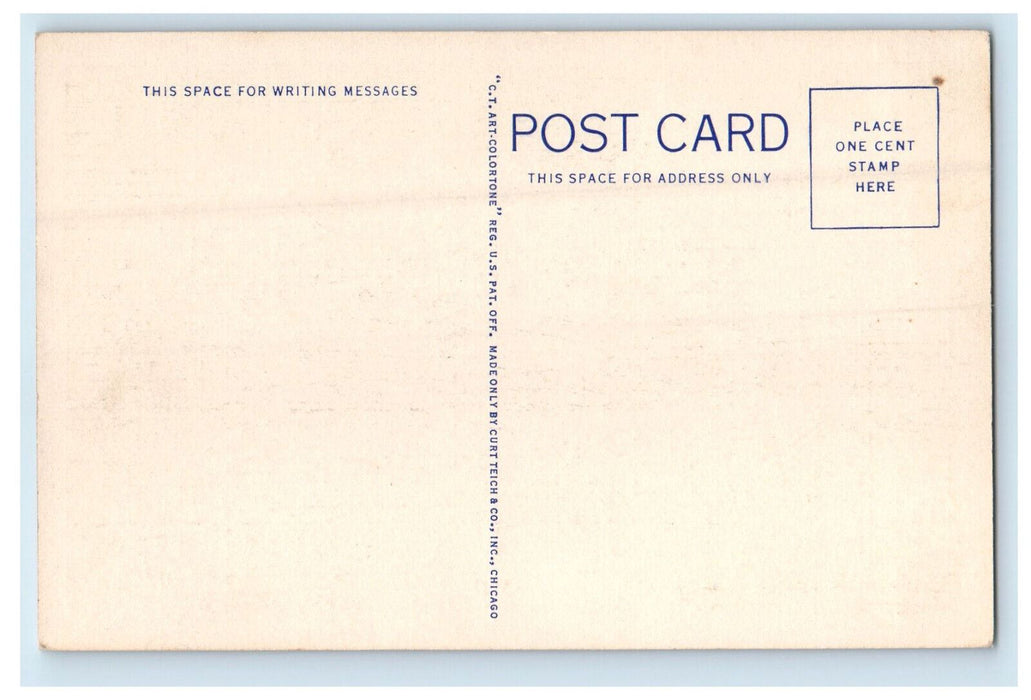 c1930s Scene of Road Grasses and Trees, New Boston Massachusetts MA Postcard