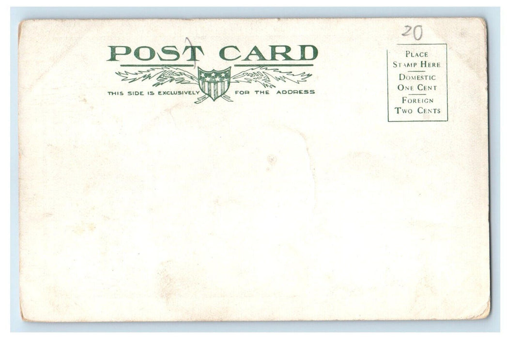 c1905 Brownie Falls Elcho Canon Near Walsenburg Colorado CO, Waterfalls Postcard