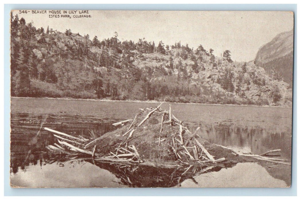 1919 Beaver House In Lily Lake Estes Park Colorado CO Posted Antique Postcard