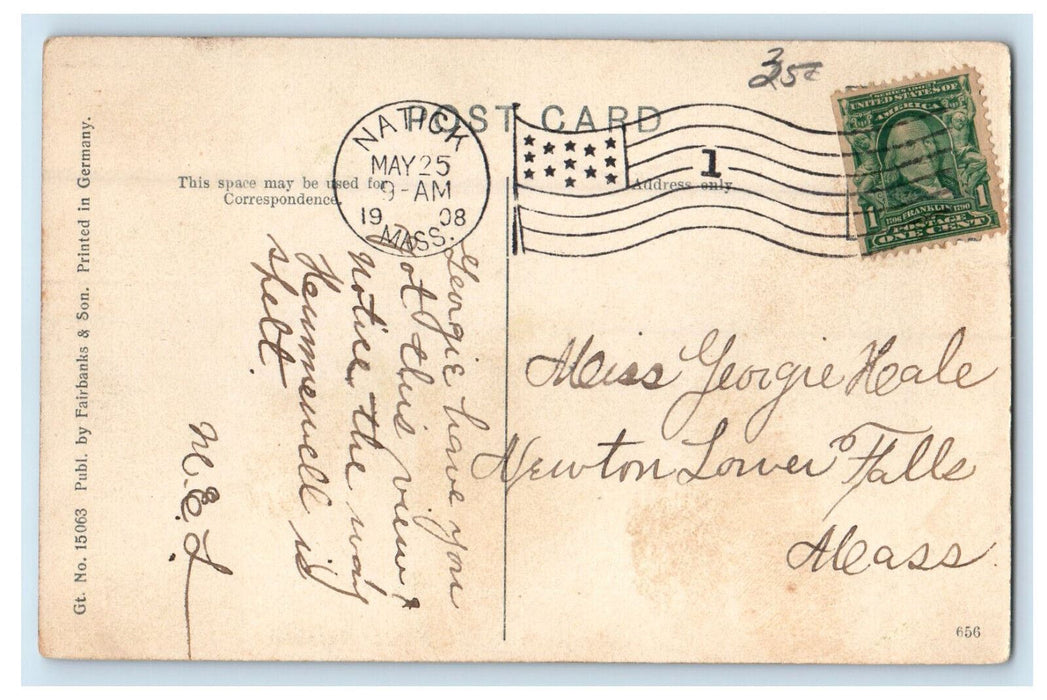 1908 View in Hunniville Pk. South Natick Massachusetts MA Posted Postcard