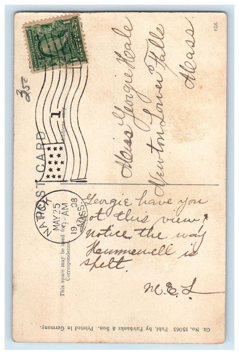 1908 View in Hunniville Pk. South Natick Massachusetts MA Posted Postcard