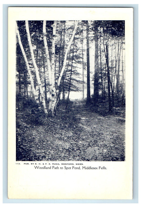 c1905 Woodland Path Massachusetts to Spot Pond Middlesex Fells MA Postcard
