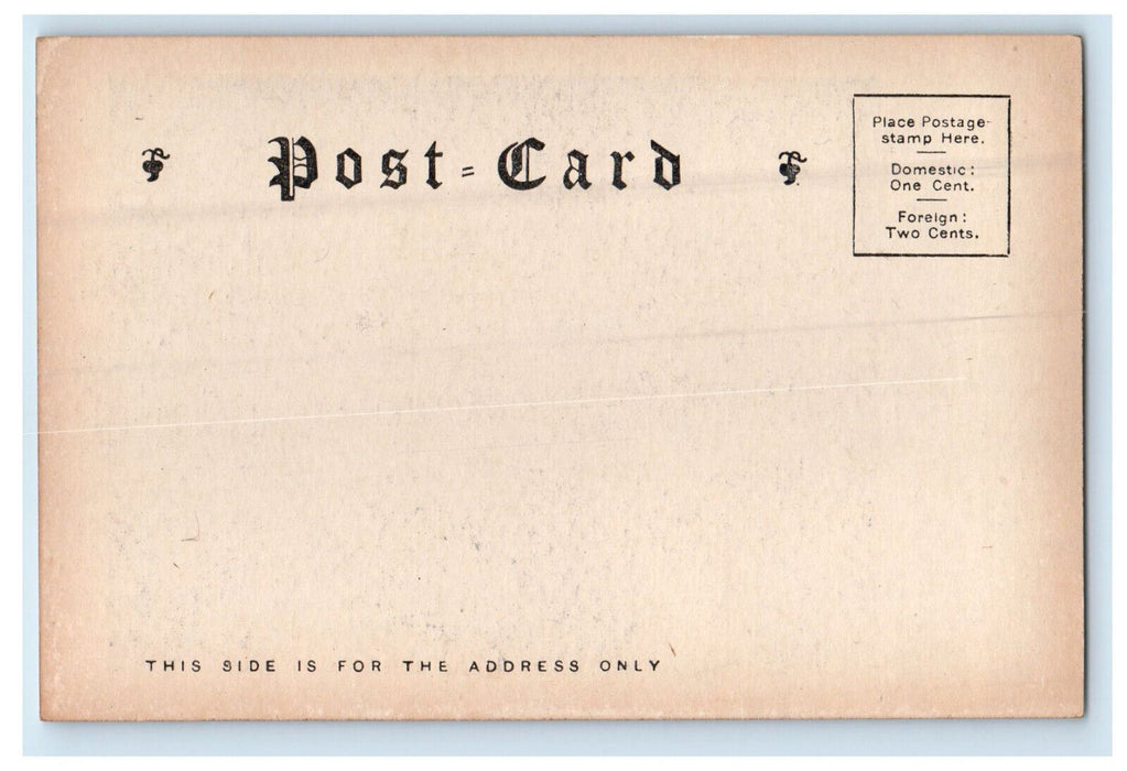 c1905 Woodland Path Massachusetts to Spot Pond Middlesex Fells MA Postcard