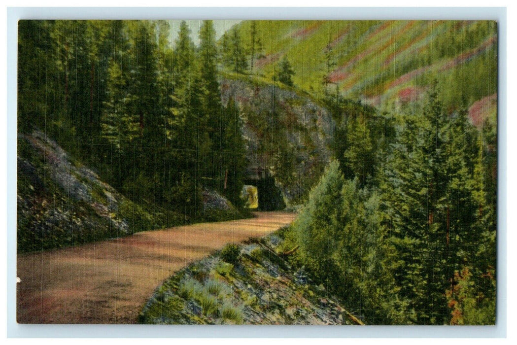 c1940's Tunnel On The Million Dollar Highway Silverton Colorado CO Postcard