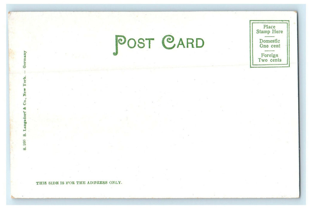 1905 Mount Holyoke, Northampton, Massachusetts MA Unposted Antique Postcard