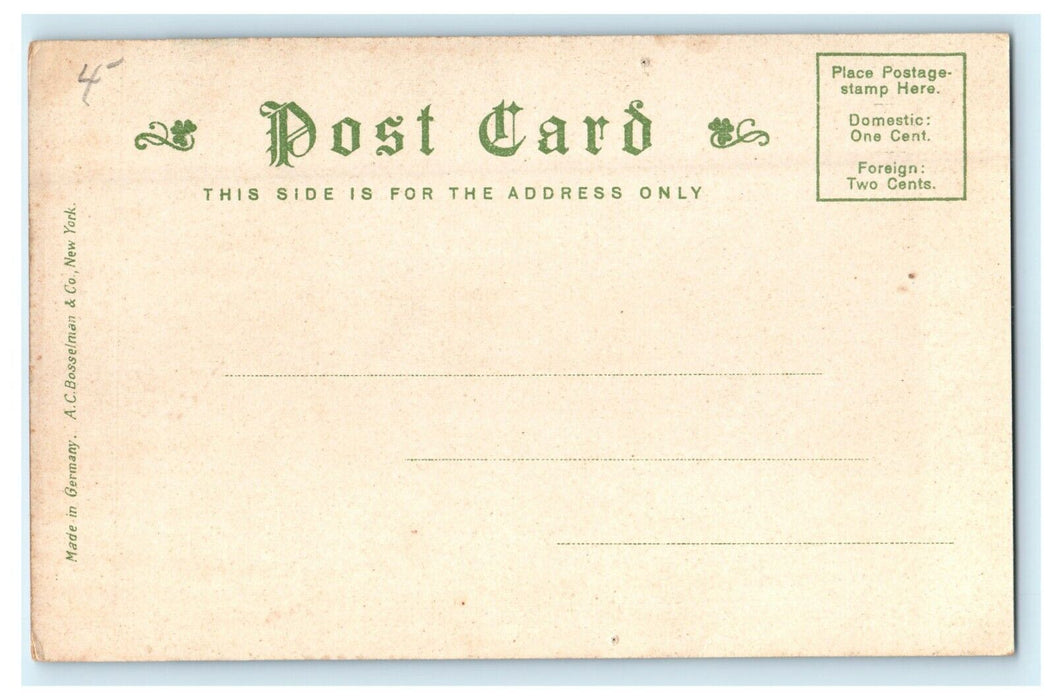 1911 Scene in Roger Williams Park Providence Rhode Island RI Antique Postcard