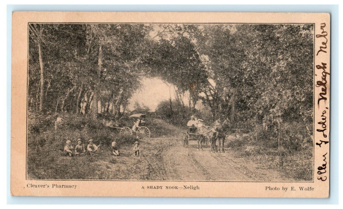 Shady Nook Neligh Nebraska 1907 Phoenix Cleaver's Pharmacy Rare Antique Postcard
