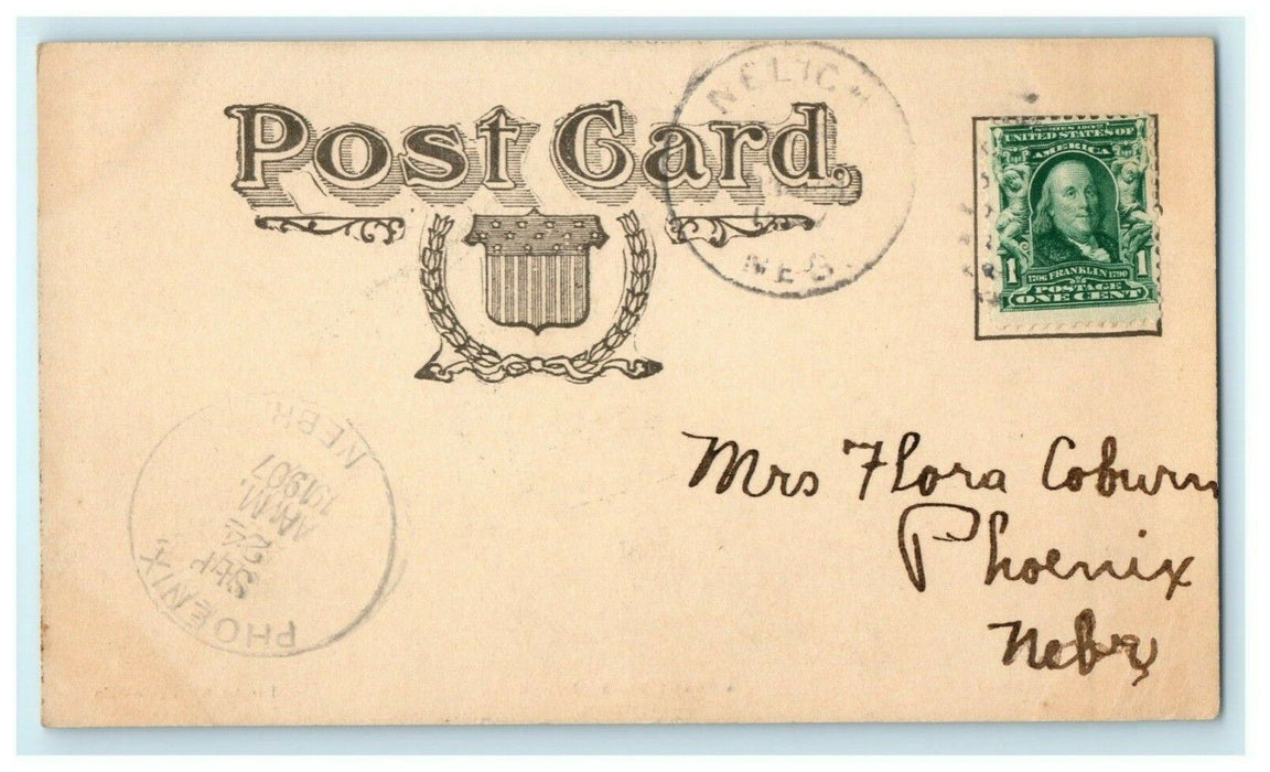 Shady Nook Neligh Nebraska 1907 Phoenix Cleaver's Pharmacy Rare Antique Postcard