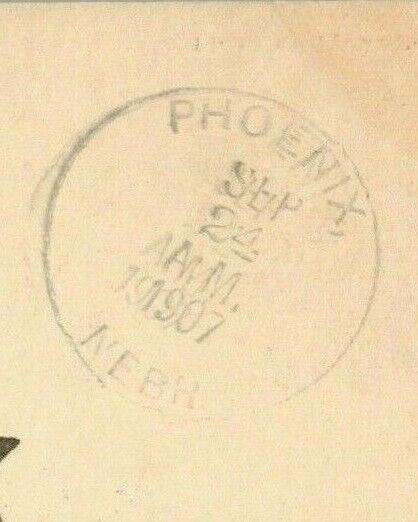 Shady Nook Neligh Nebraska 1907 Phoenix Cleaver's Pharmacy Rare Antique Postcard