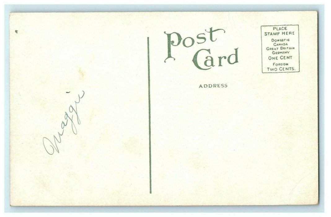 C.M. & St. P.R., West of Winona Minnesota Unposted Vintage Antique Postcard