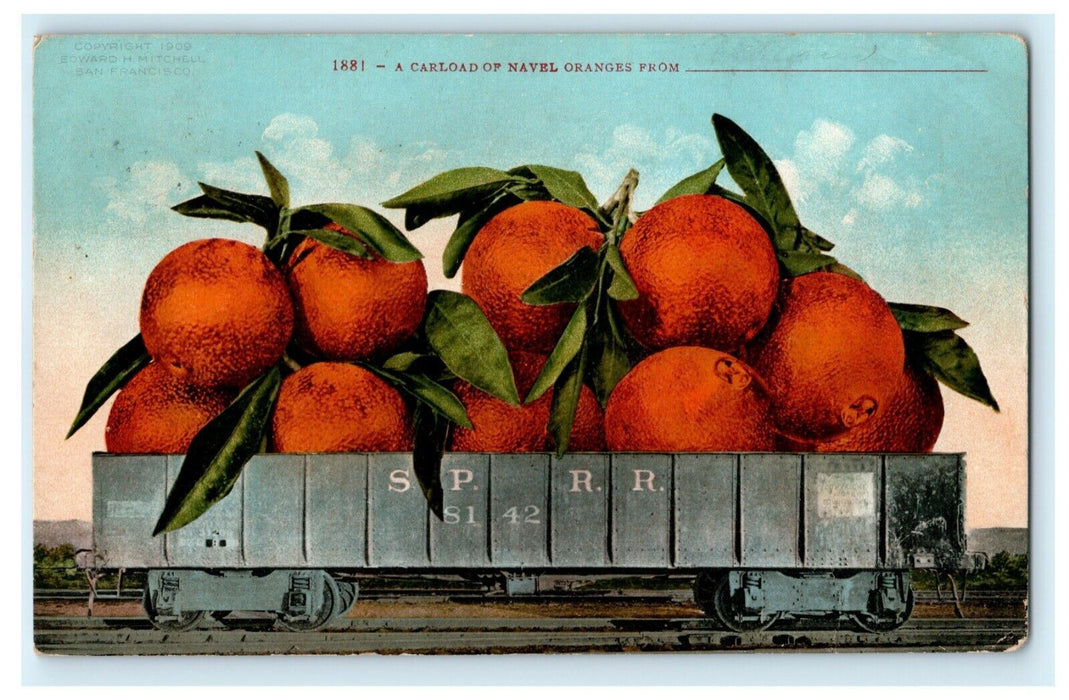 Carload of Navel Oranges 1910 Portland Oregon Mackling SD Antique Postcard