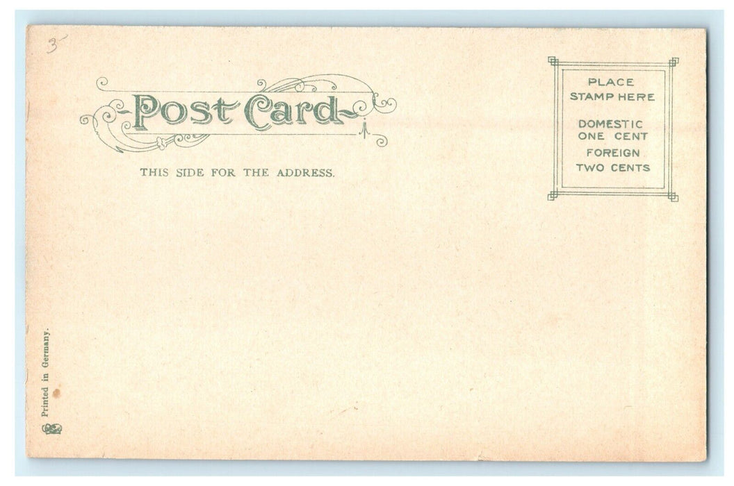 1905 Camel House, Roger Williams Park, Providence Rhode Island RI Postcard