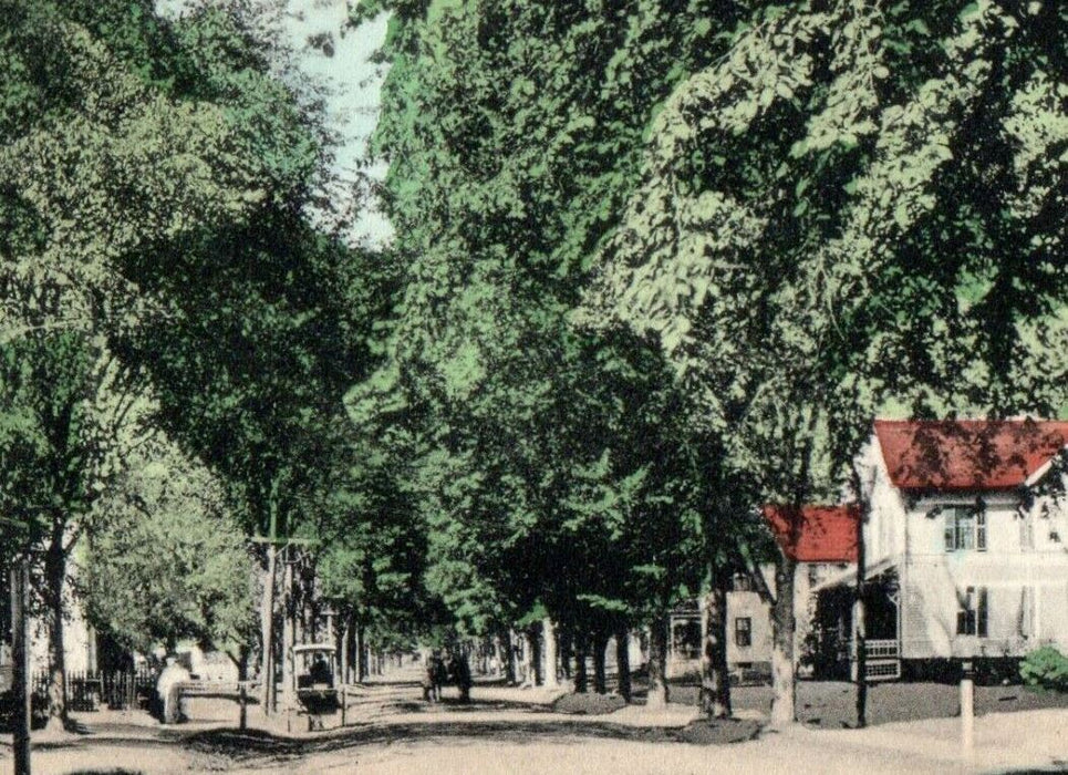 1909 Park Street Looking West Palmer Massachusetts MA Posted Antique Postcard