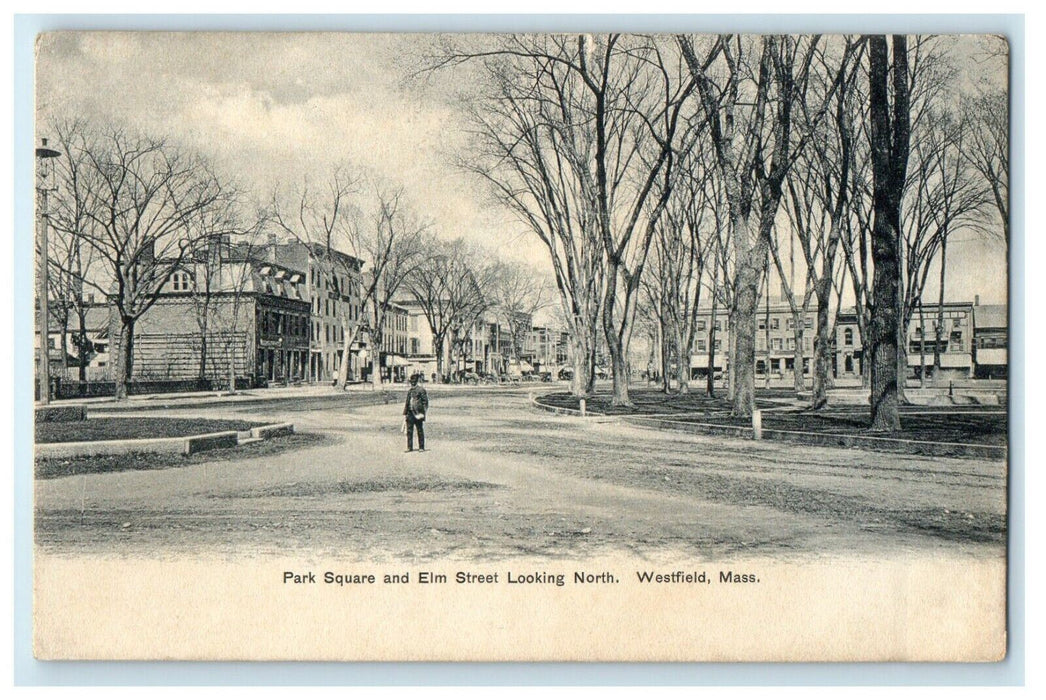 c1905 Park Square Elm Street View Looking North Westfield Massachusetts Postcard