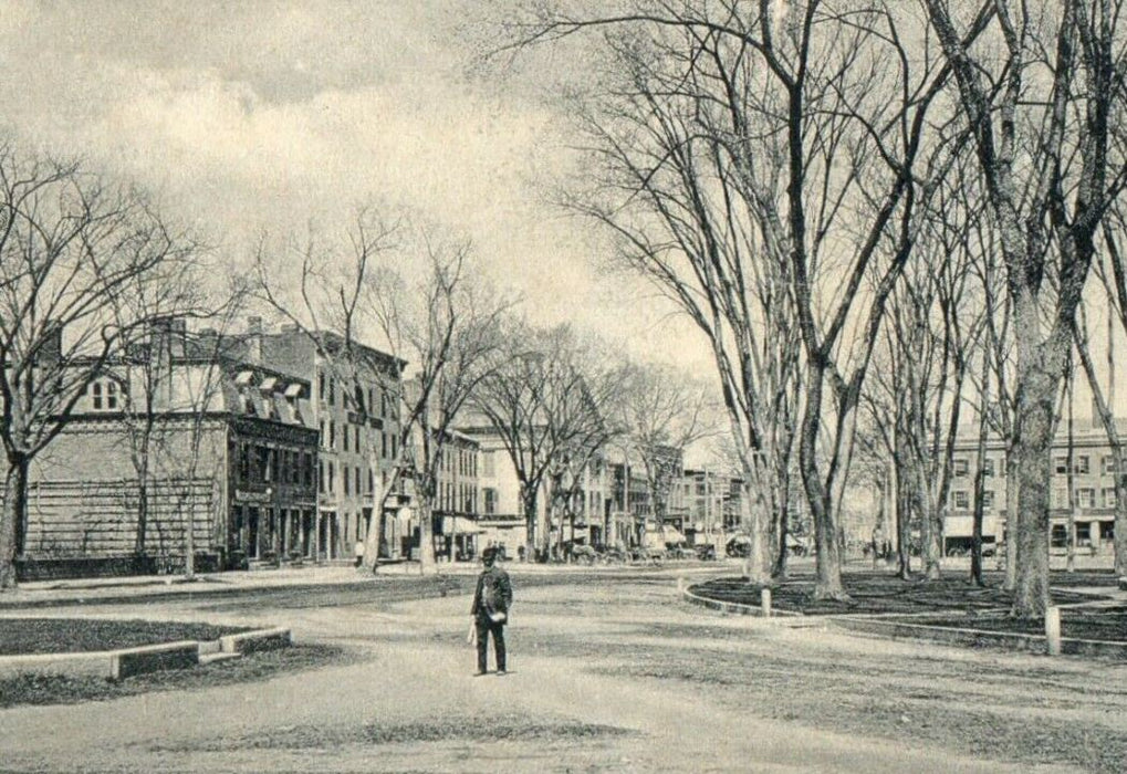 c1905 Park Square Elm Street View Looking North Westfield Massachusetts Postcard