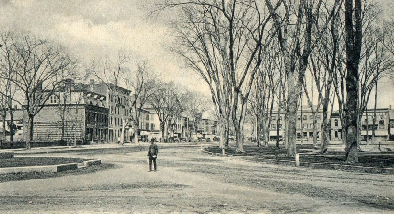 c1905 Park Square Elm Street View Looking North Westfield Massachusetts Postcard