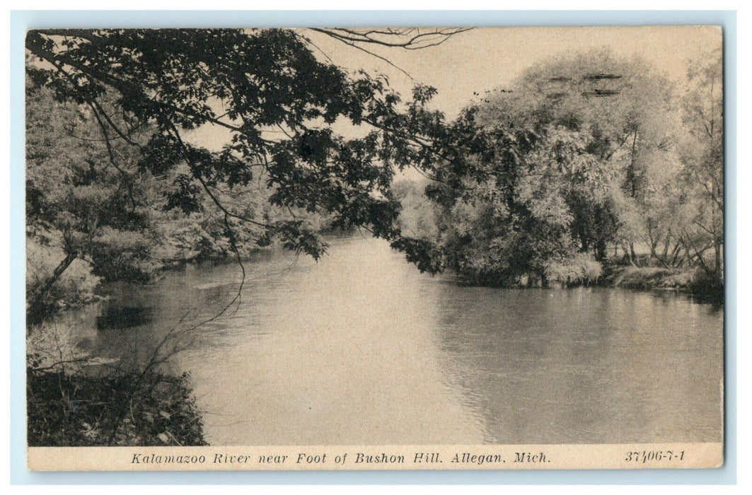 1932 Kalamazoo River Near Foot of Bushon Hill, Allegan Michigan MI Postcard