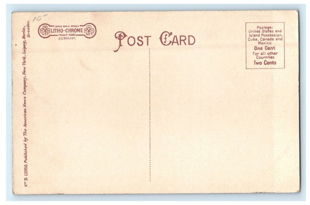 c1910s Hotel Wilson, North Adams, Massachusetts MA Antique Unposted Postcard