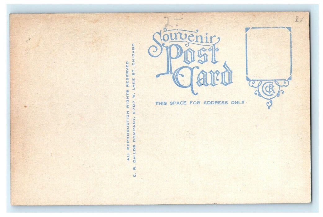 1909 View of High School Allegan Michigan MI Antique Unposted Postcard