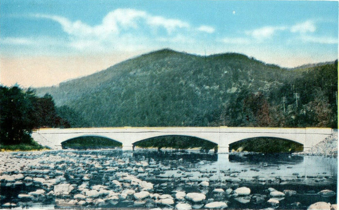 c1920's Mohawk Trail, Deerfield River View Charlemont, Massachusetts MA Postcard