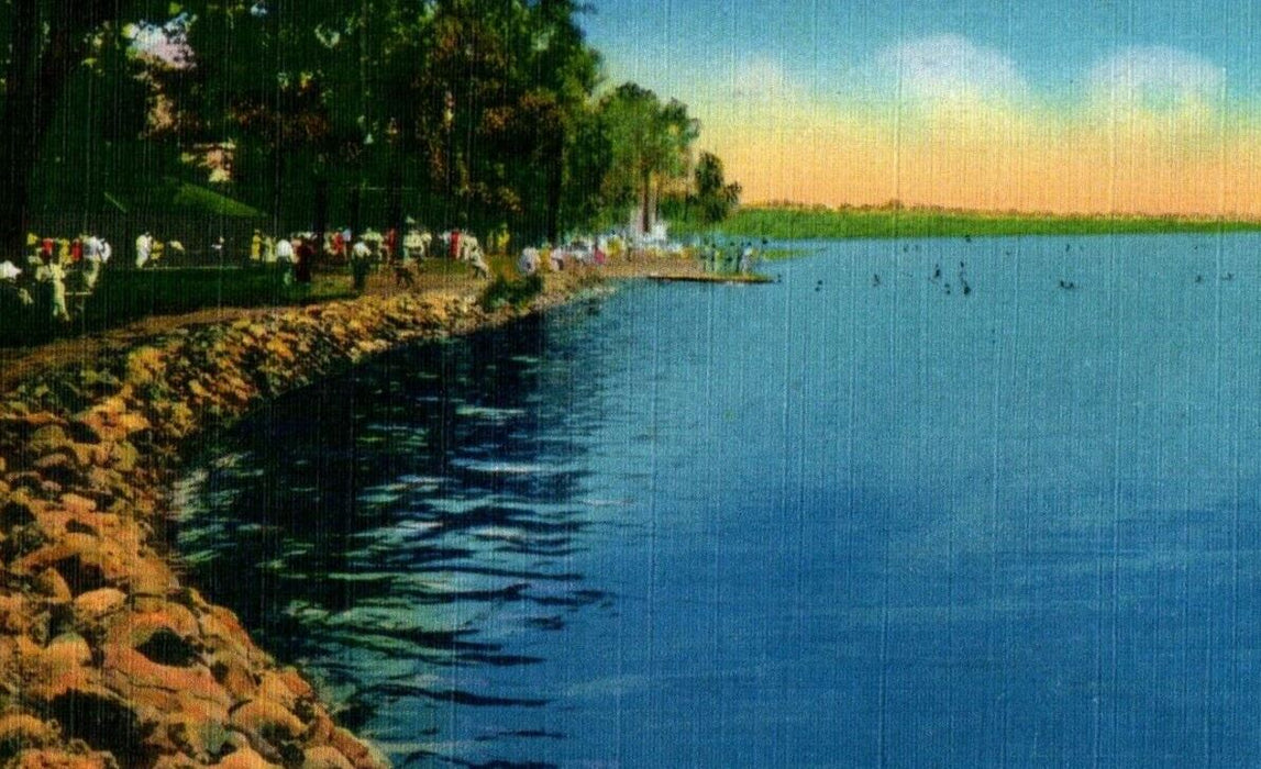 c1910 Pavilion Shoreline And Bathers At Lake Park Geneva New York NY Postcard