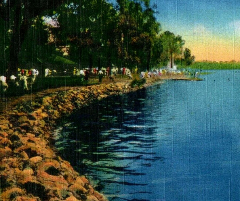 c1910 Pavilion Shoreline And Bathers At Lake Park Geneva New York NY Postcard