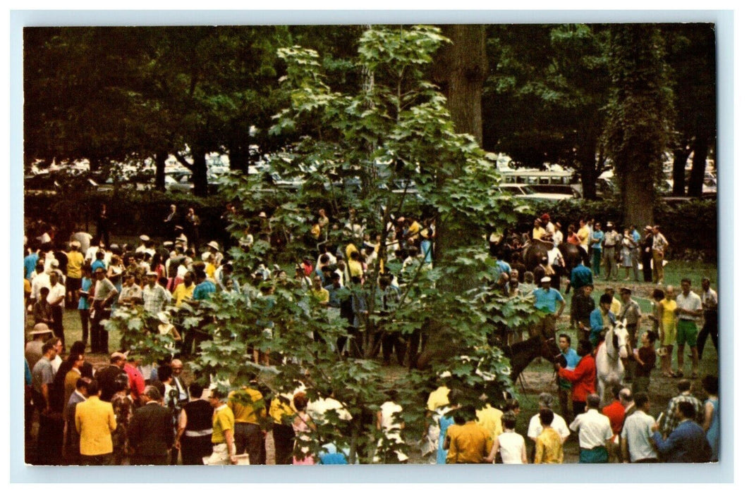 c1950's Scene In Open Paddock Saratoga Horse Race Track New York NY Postcard