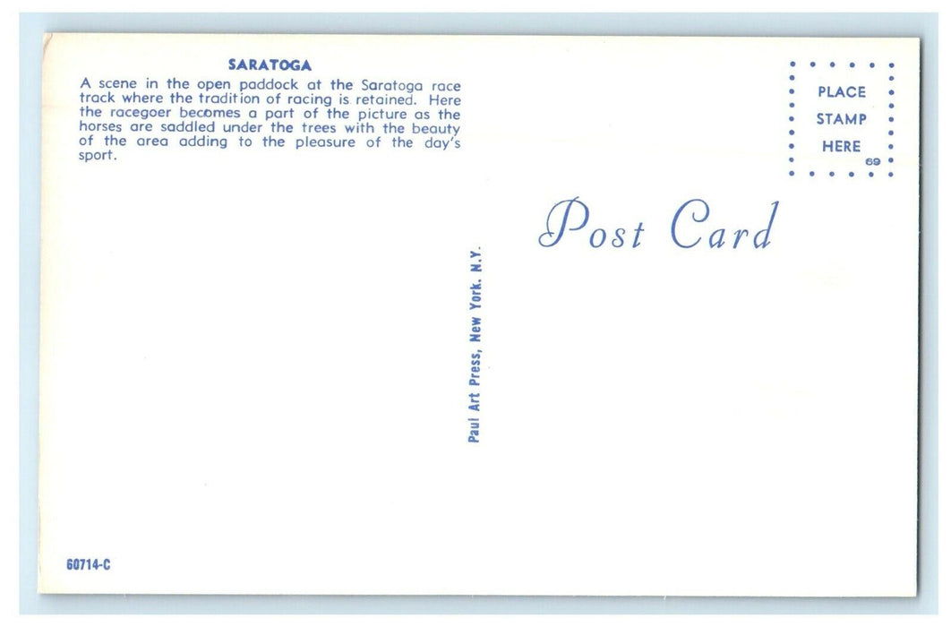 c1950's Scene In Open Paddock Saratoga Horse Race Track New York NY Postcard