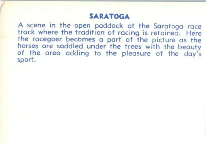 c1950's Scene In Open Paddock Saratoga Horse Race Track New York NY Postcard