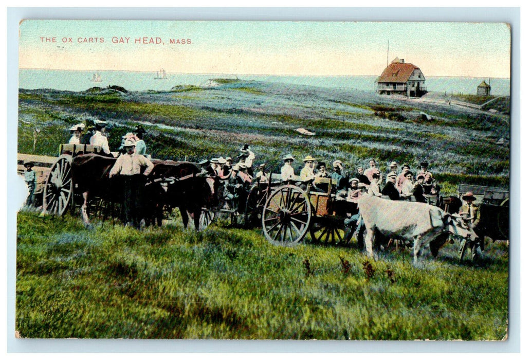 1911 The Ox Carts Gay Head, Massachusetts MA Antique Posted Postcard