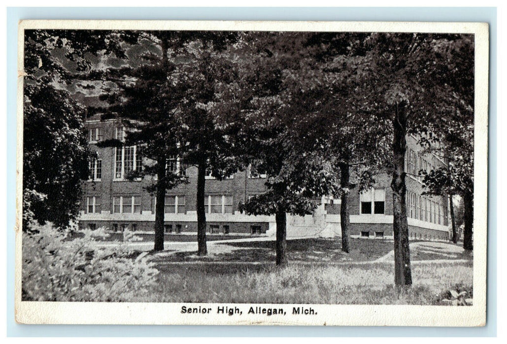 1927 Trees Scene, Senior High School Allegan Michigan MI Postcard