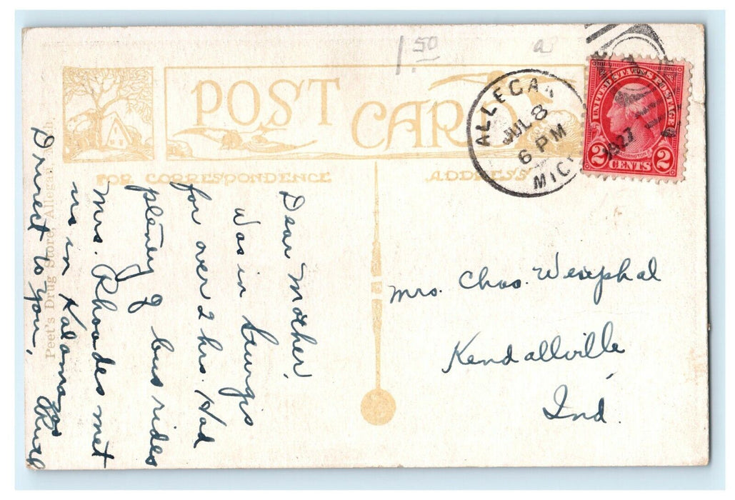 1927 Trees Scene, Senior High School Allegan Michigan MI Postcard