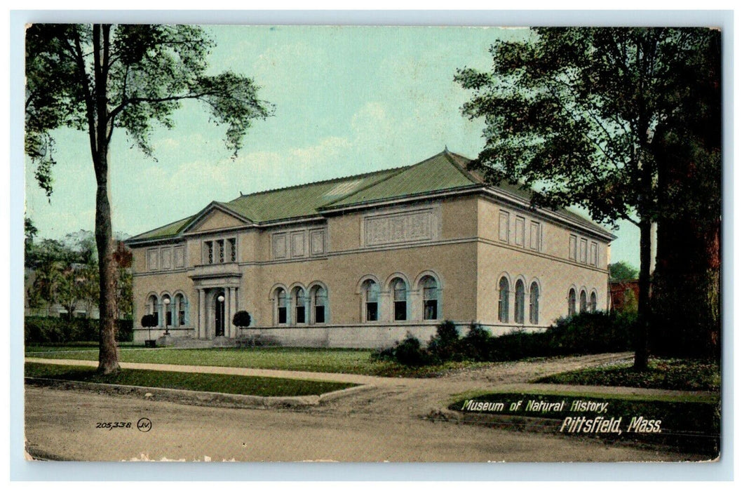 1912 Museum Of Natural History Street View Pittsfield Massachusetts Postcard