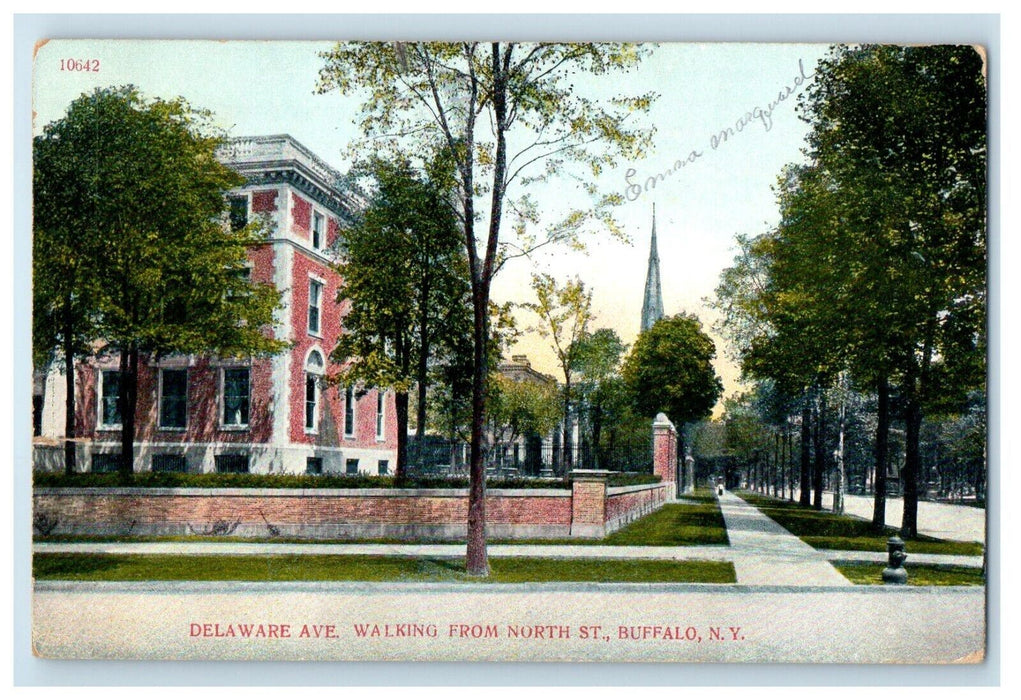 1910 Delaware Avenue Walking From North St. Buffalo New York NY Antique Postcard