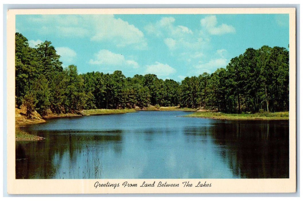 c1950's Greetings from the Land Between the Lakes Kentucky KY - TN Postcard