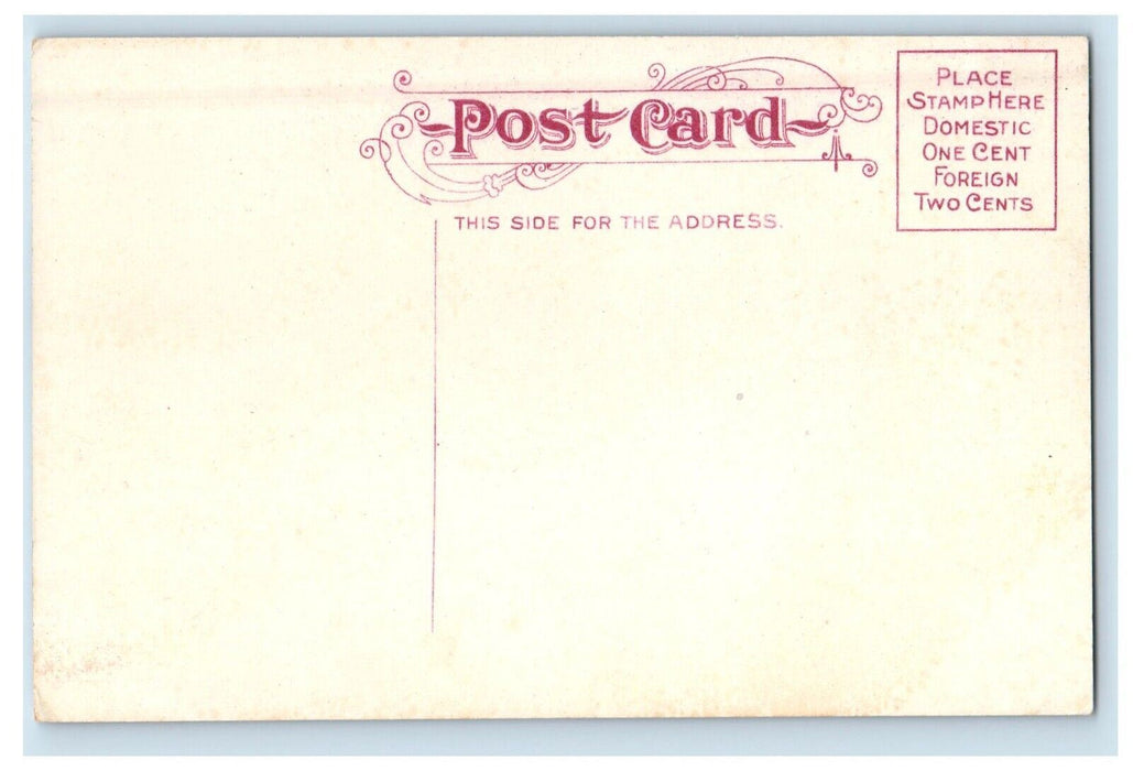 c1910's View Of Horse Shoe Bend Fort Wayne Indiana IN Unposted Antique Postcard