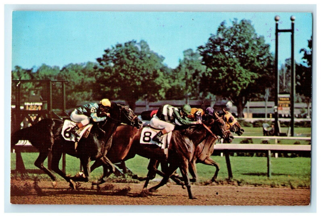 c1950's Saratoga Driving Finish Horse Racing Thoroughbred New York NY Postcard