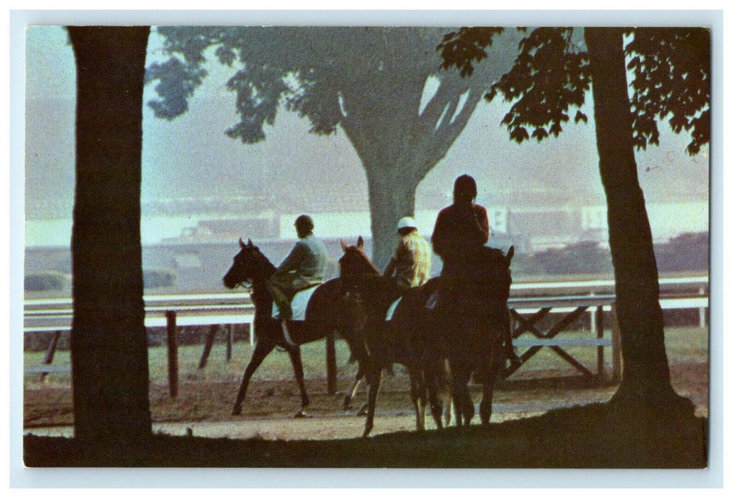 c1950's Saratoga Race Track Morning Mist Thoroughbred Horses New York Postcard