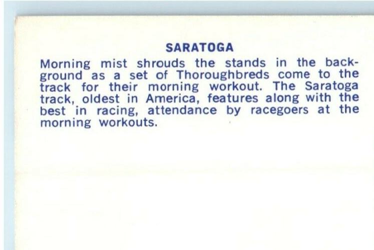 c1950's Saratoga Race Track Morning Mist Thoroughbred Horses New York Postcard